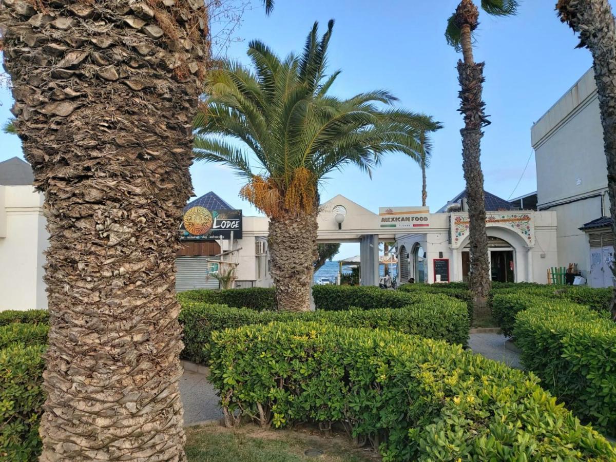 Villa Amalia 5 Torrevieja Buitenkant foto